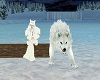 Snow Wolf Pet