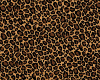 Leopard-cover & blck bed