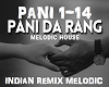 Indian Remix - Pani da