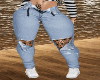Jeans Ripped B