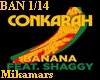 Conkarah. feat. Shaggy