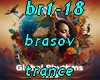 br1-18 brasov