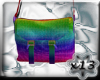 x13 Rainbow Bag