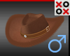 Brown Fur Cowboy Hat