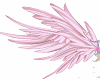 Big Pink Wings