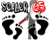 Scaler 65