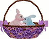 Pink&Blue Bunny Easter