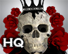 Skull Crown / Red