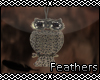 F Vintage owl Necklace