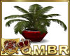 QMBR Potted Palm