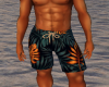 Hawaii Long Bathing Suit