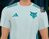 tee cruzeiro treino