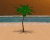 Animated Palm