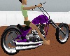 purple moto