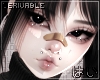 はい BANDAID F [DRV]