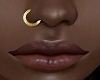 {Z} 14 Gold Nose Ring R