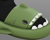 Green Shark Slides.