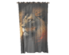 Curtain Lion