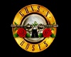 Gun n roses