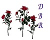DH Wedding Roses