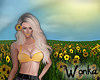 W° Sunflower Field