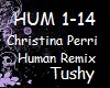 ChristinaPerri Human Rmx