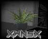 X2 Plants