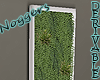 Plants Wall