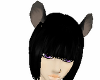 black/grey rat ears