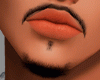 Bigode  fino