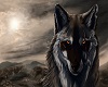 Battle Scarred Wolf