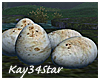 Jurassic Dinosaur Eggs