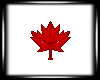 [MI] Maple flag