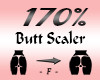 Butt / Hips Scaler 170%