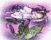 purple baby fairy