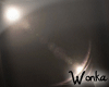 W° Lens Reflection .3