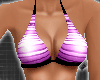*Stripe Violet Bikini
