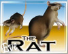 ♣ The Rat
