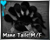 D~Mane Tails: Black