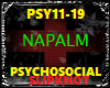 Slipknot Psychosocial P2