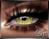 GF | Omen Eyes [F]
