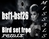 Bird set free