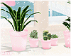 ♔ Furn e Set Plants