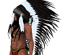 Sir Native Full Feathers