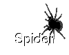Scary Spider