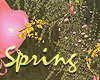 Spring_love_Pose