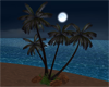night palm trees group