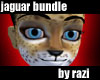 Jaguar Bundle