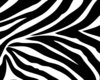 Zebra Print Crib