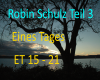 RobinSchulz-EinesTages3